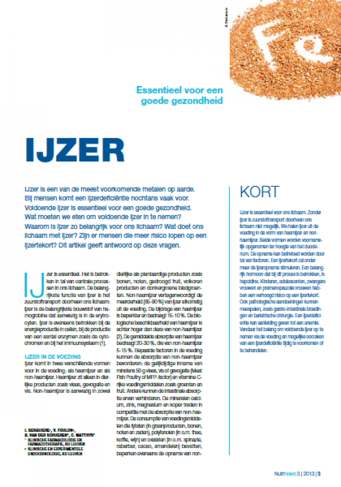 ijzer in de voeding | voedingsinfo nice