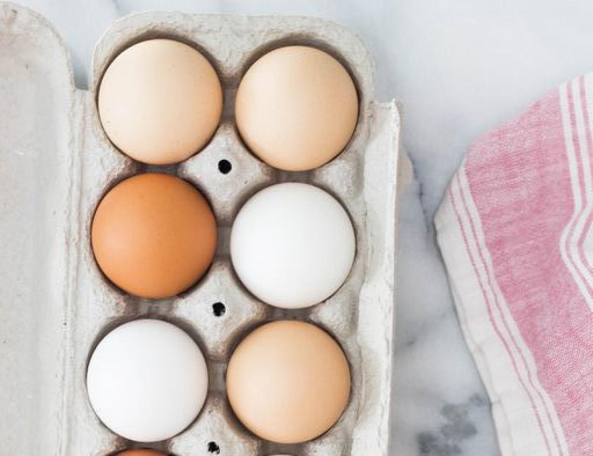 extract kwartaal Ecologie Zo kan je eieren correct bewaren | Voedingsinfo NICE