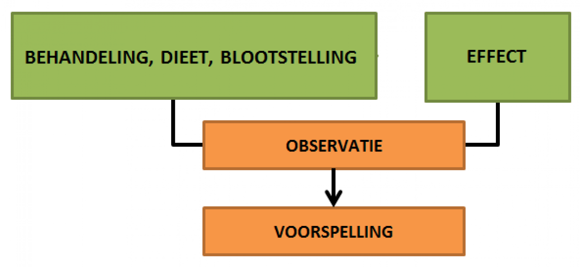 Figuur 2 - Stappenplan voorspellingen op basis van geobserveerde associaties. Figuur 2 - Stappenplan voorspellingen op basis van geobserveerde associaties.