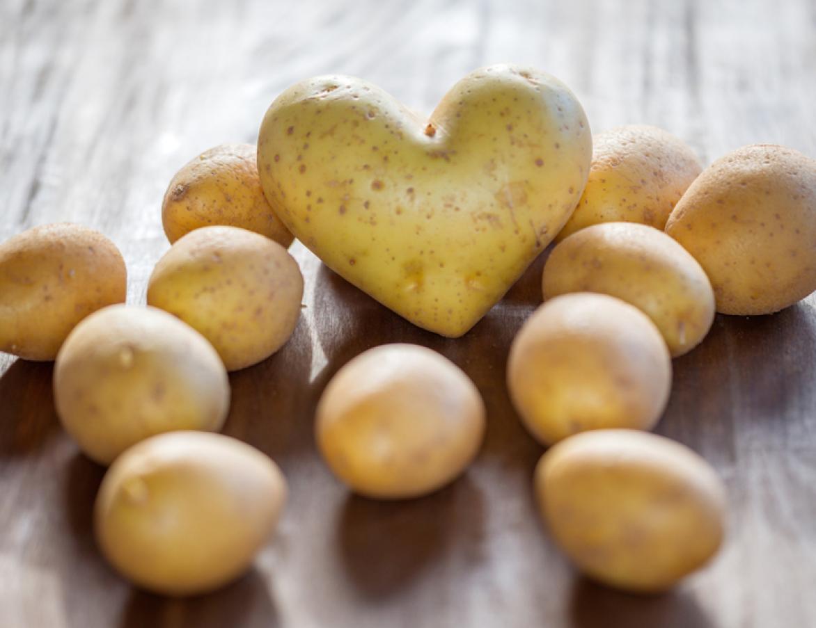toenemen Egypte Jabeth Wilson Waarom zijn aardappelen gezond? | Voedingsinfo NICE