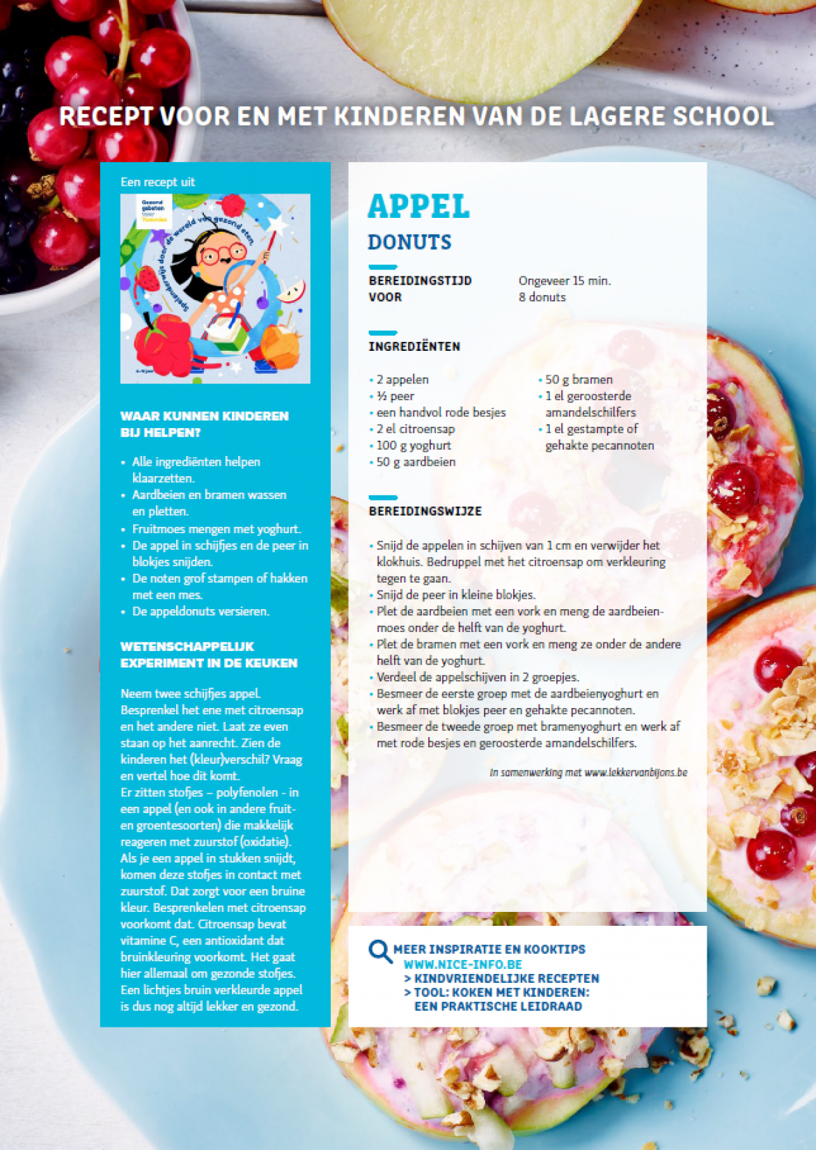 RECEPTFICHE - Appeldonuts