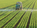 Pesticiden in de voeding: 8 vragen en antwoorden
