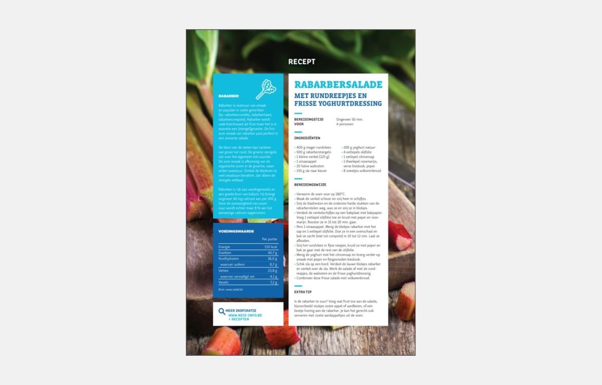 RECEPTFICHE - Rabarbersalade met rundreepjes en yoghurtdressing