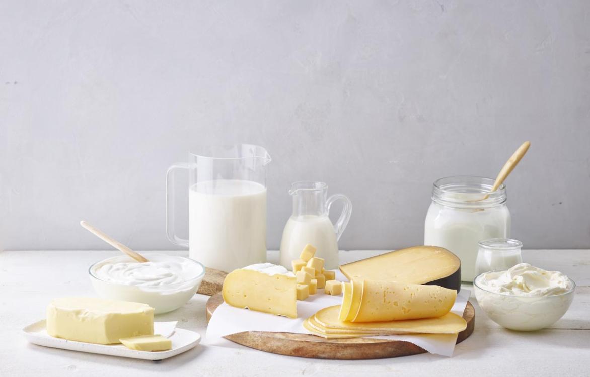 Melk en melkproducten