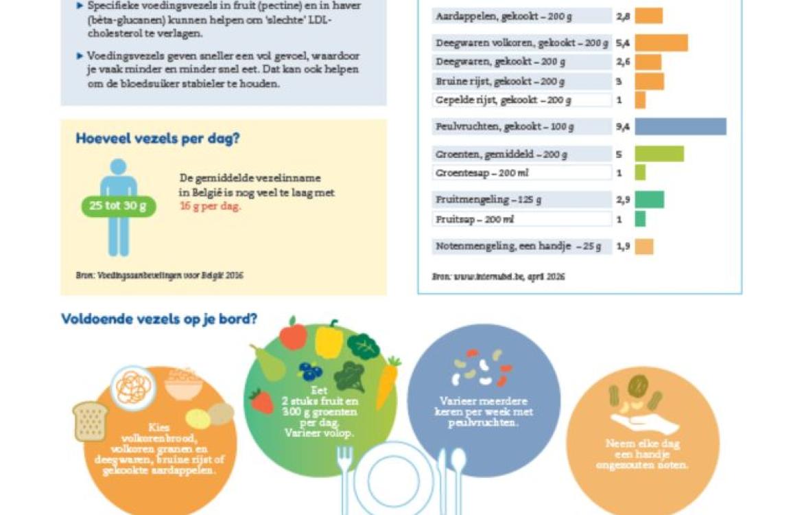 Infografiek_Vezels in de voeding rz