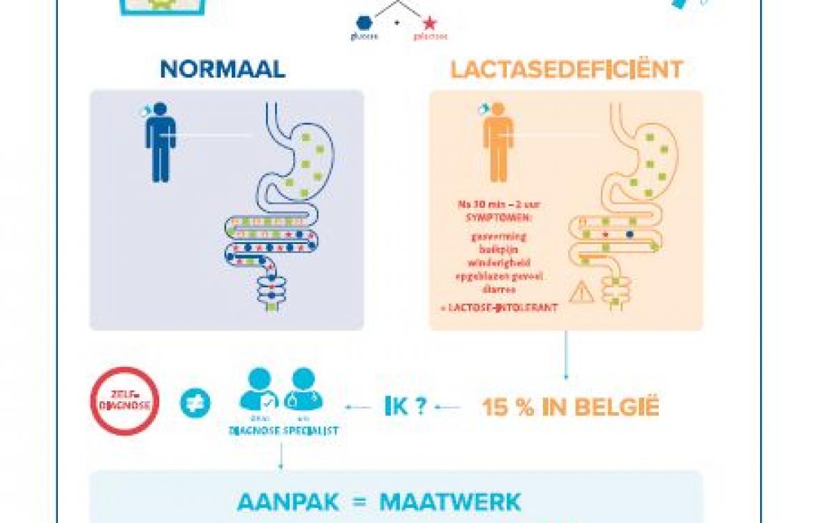 INFOGRAFIEK - Lactose-intolerantie