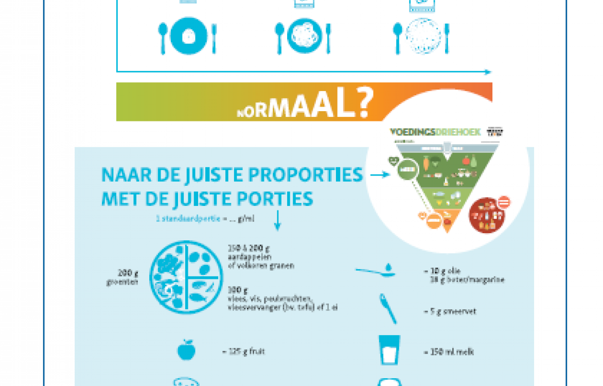 INFOGRAFIEK - Portiegroottes in beeld