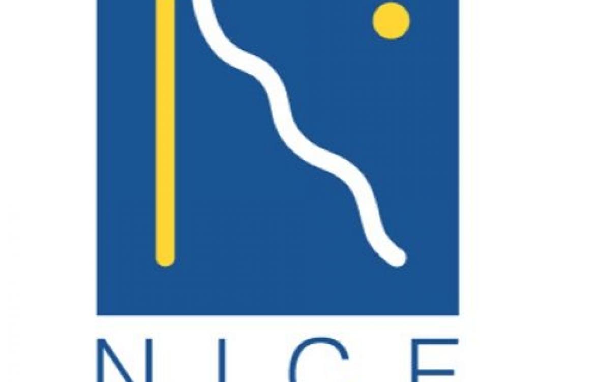 NICE LOGO