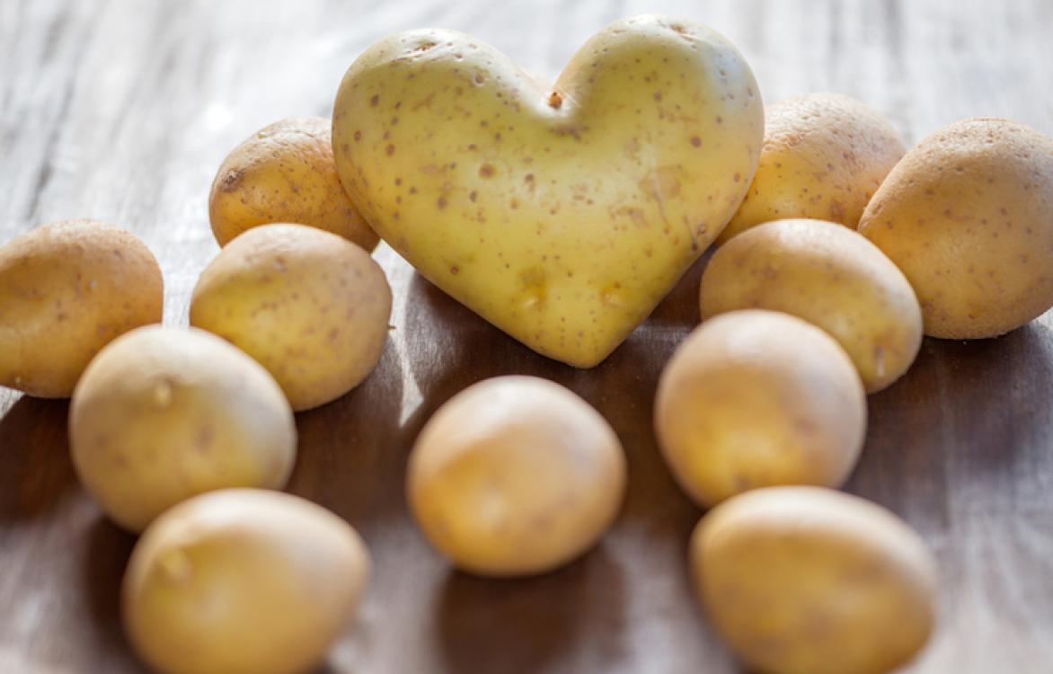 Is de aardappel gezond?