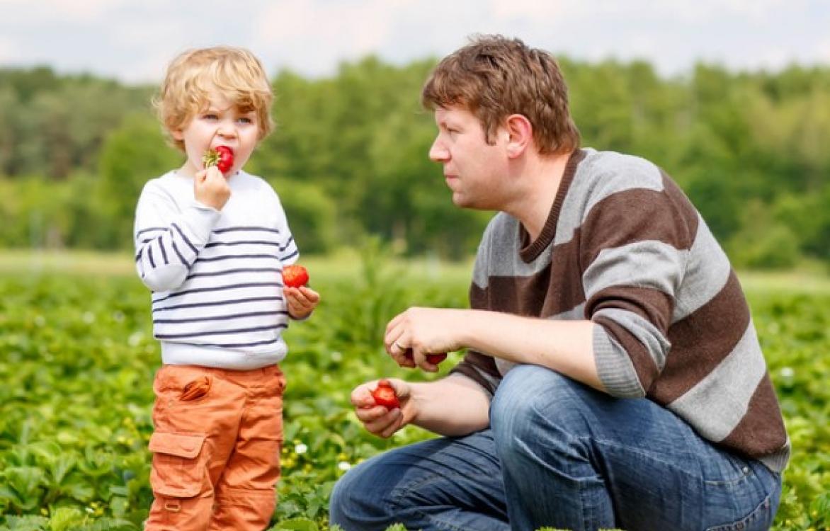 Focus op 'Food literacy' of voedselvaardigheid