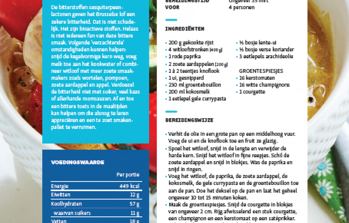 RECEPTFICHE - Witloofcurry