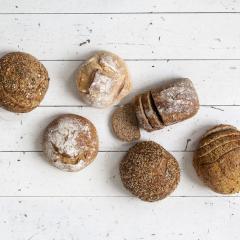 Brood