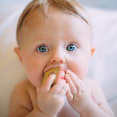 Voeding bij baby's